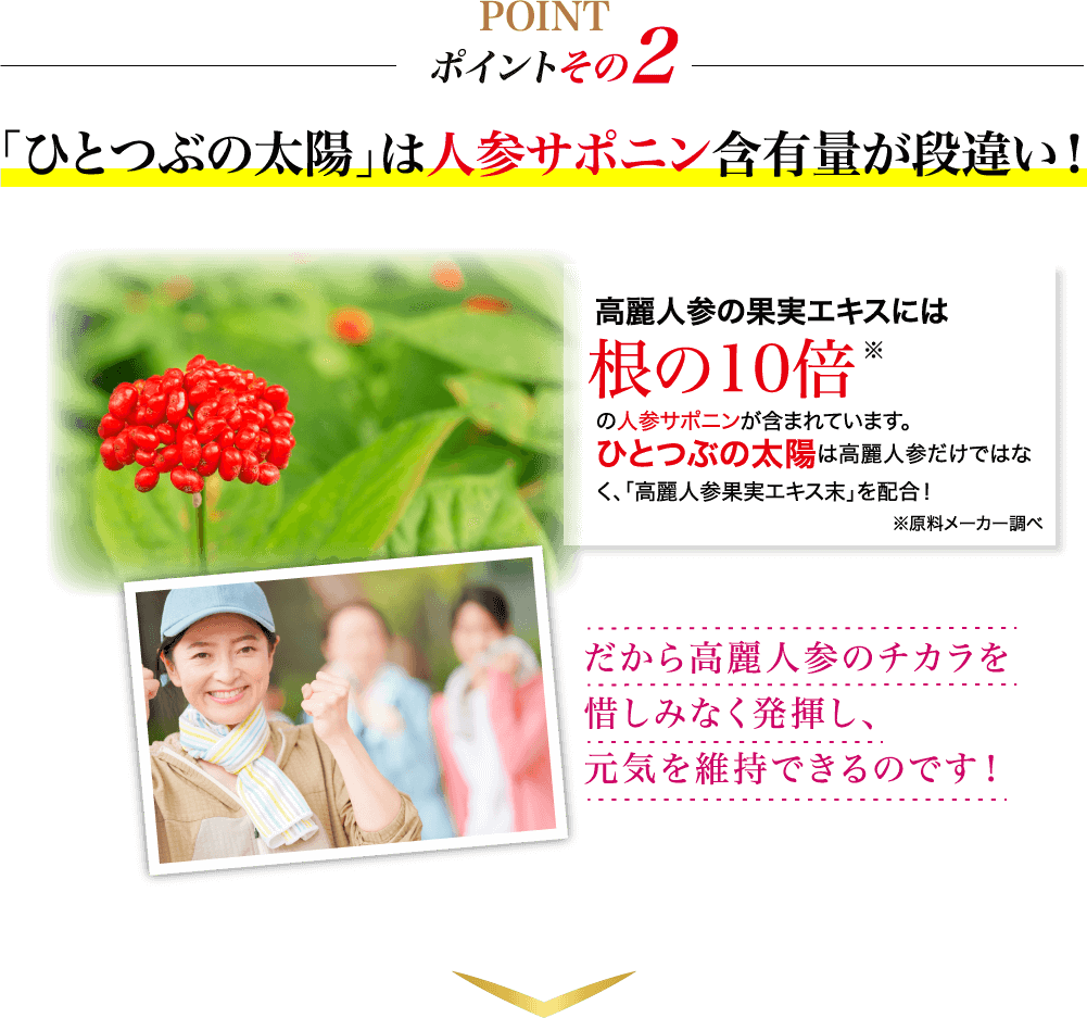 ポイントその2「ひとつぶの太陽」は人参サポニン含有量が段違い！