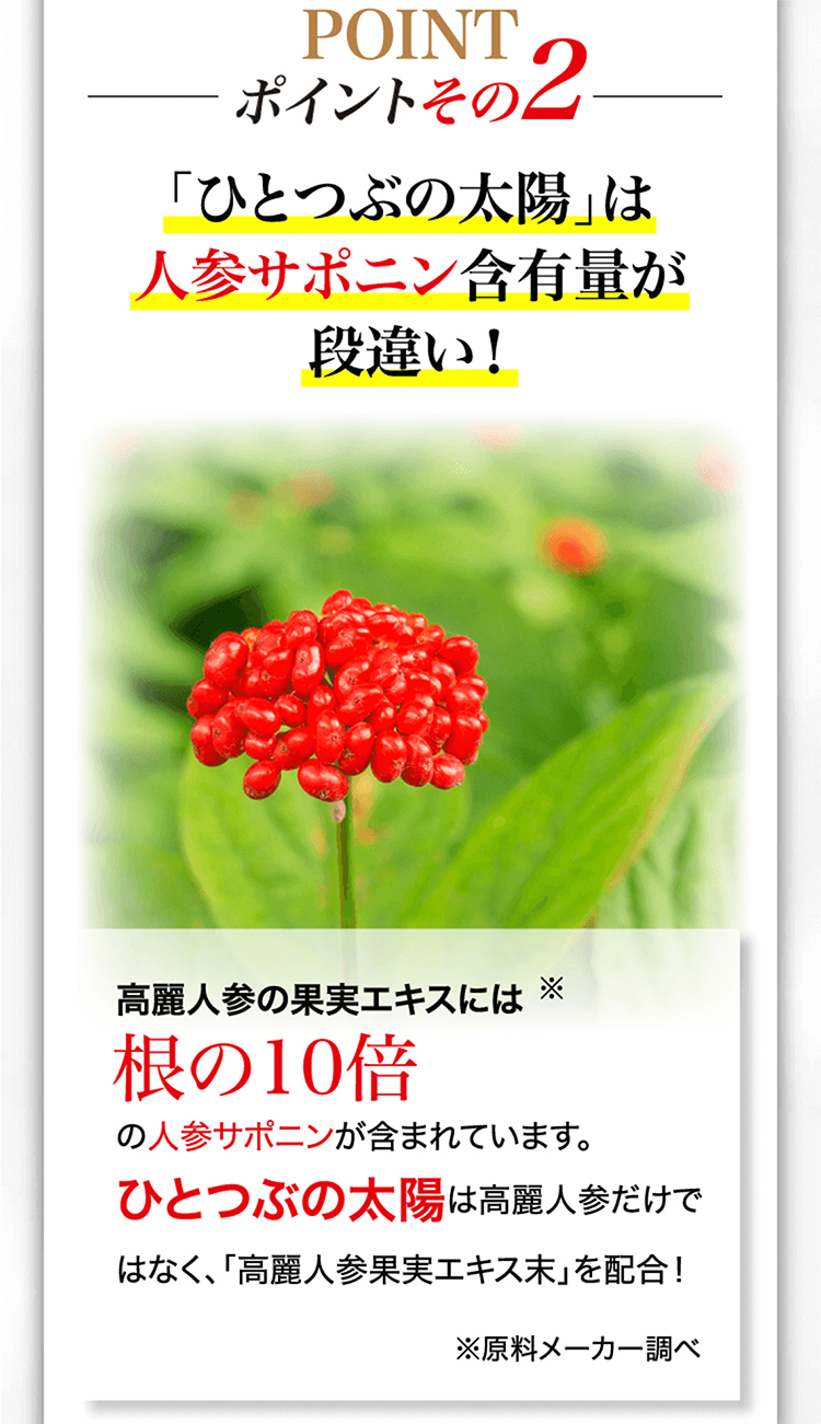 ポイントその2　ひとつぶの太陽は人参サポニン含有量が段違い！