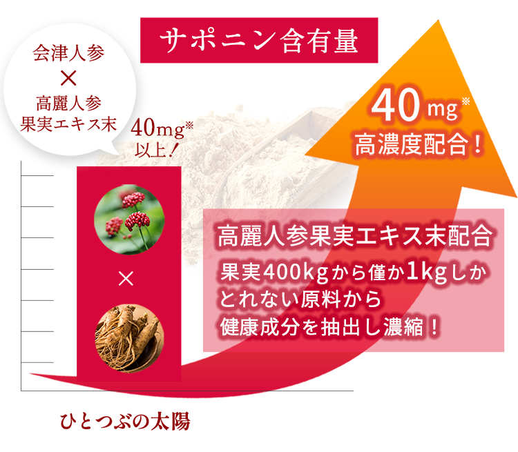 サポニン含有量40mg高濃度配合！　高麗人参果実エキス末配合　果実400kgから僅か1kgしかとれない原料から健康成分を抽出し濃縮！