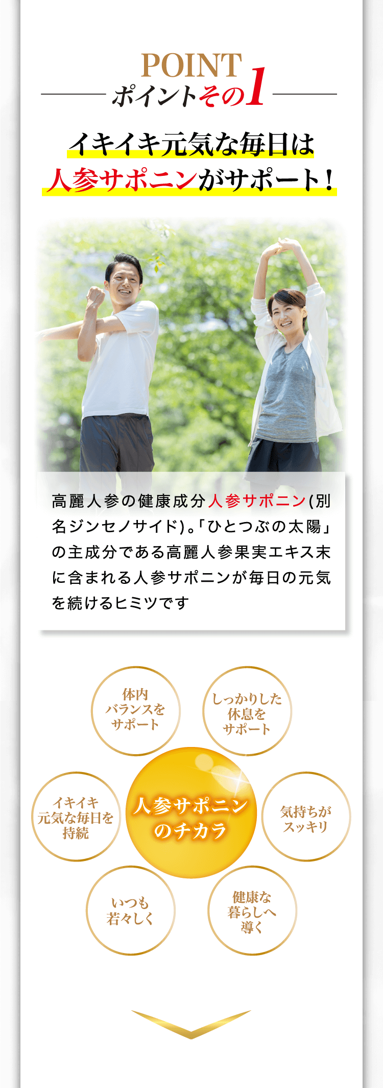 ポイントその1　イキイキ元気な毎日は人参サポニンがサポート！